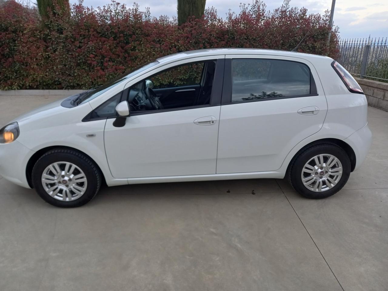 Fiat Punto 1.3 MJT II 75 CV 5 porte Lounge
