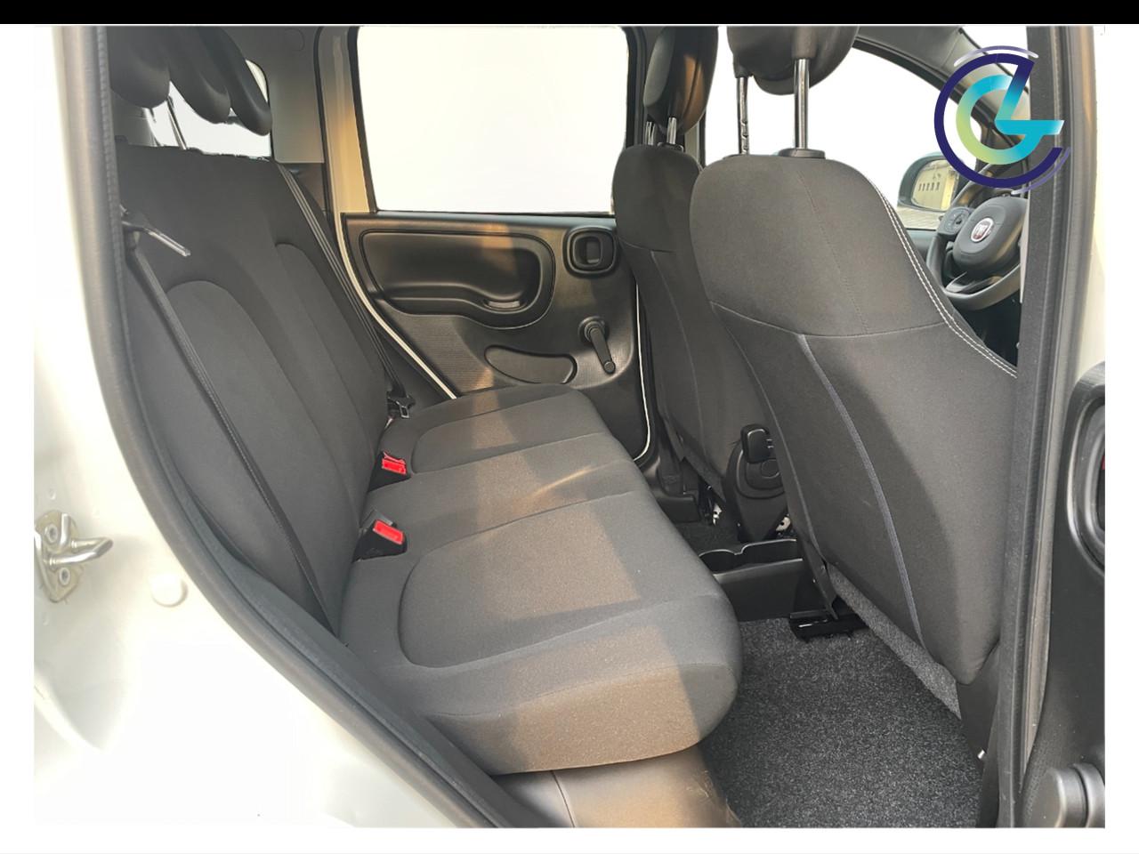 FIAT Panda III 2021 - Panda 1.0 firefly hybrid s&s 70cv 5p.ti