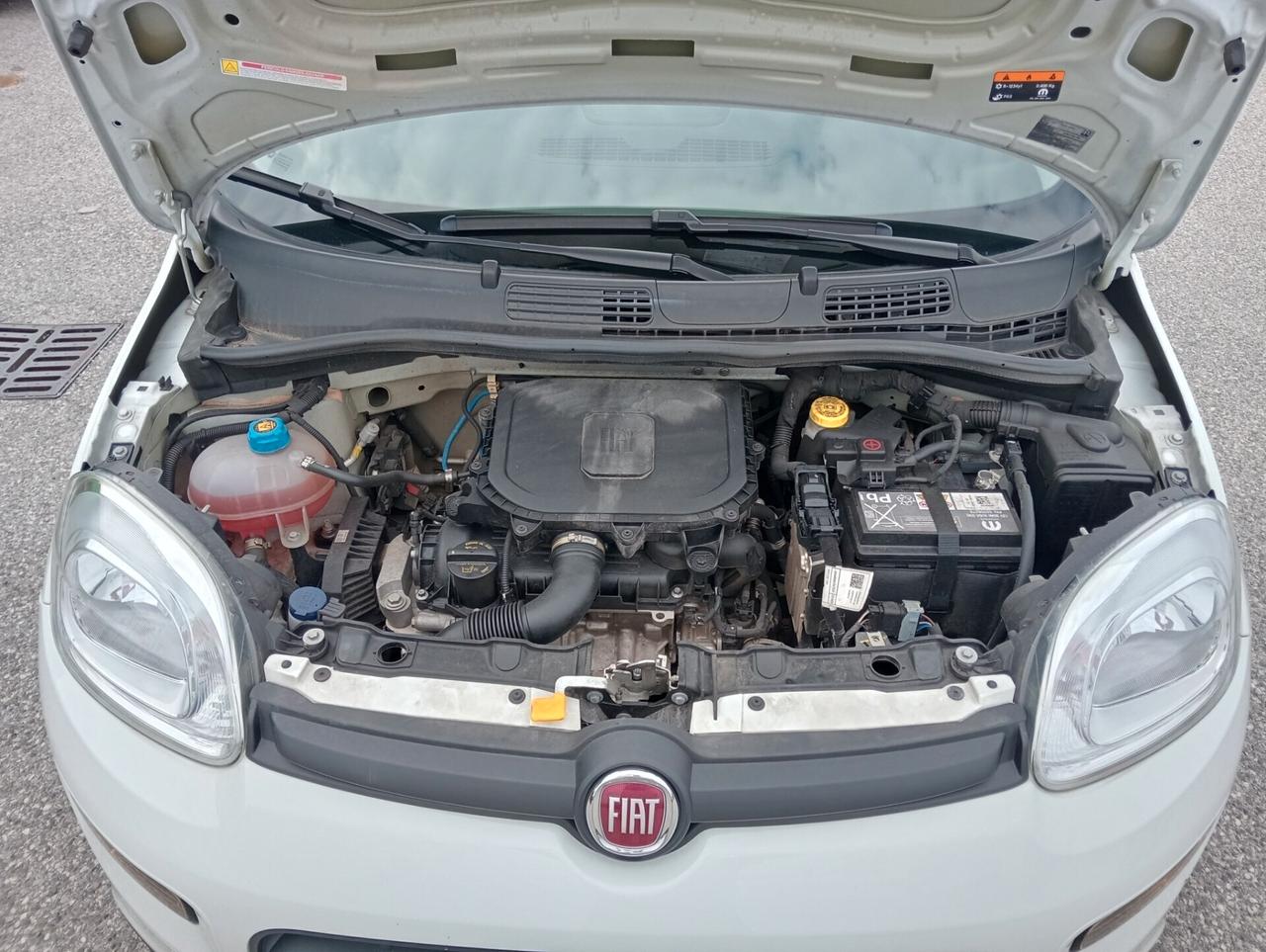 Fiat Panda 1.0 70CV Hybrid UNIPROPRIETARIO