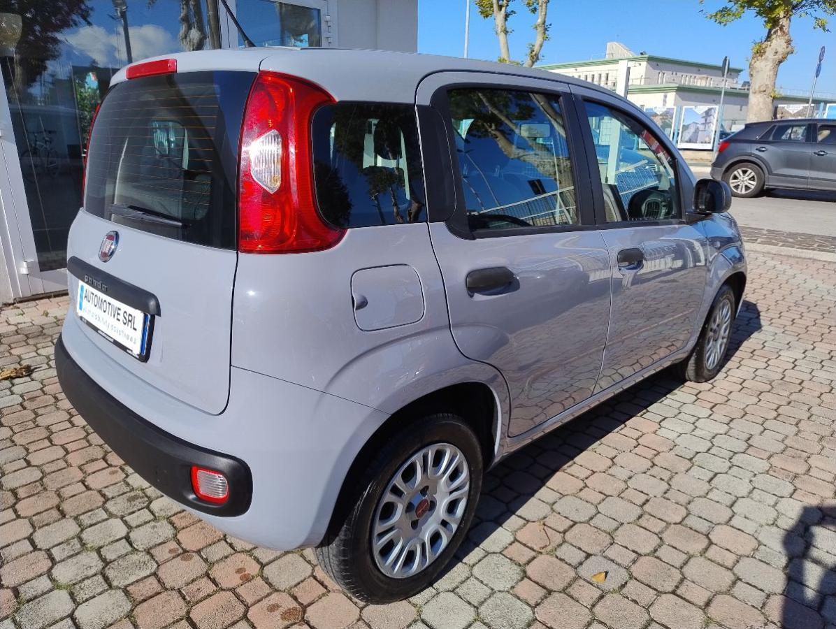 FIAT - Panda - 1.2 Easy