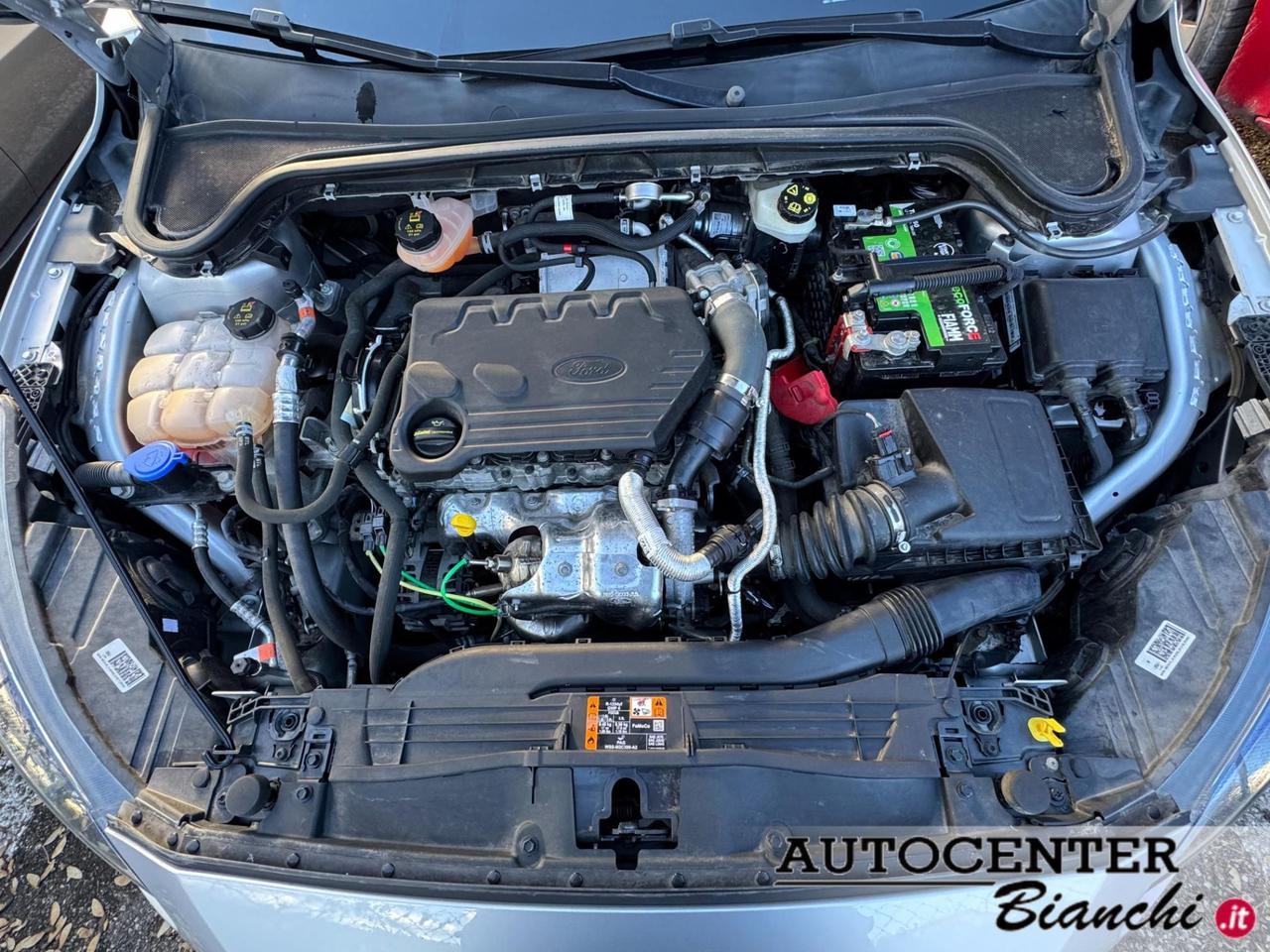 Ford Focus Station Wagon Focus SW 1.5 ecoblue Business Co-pilot s&s 120cv auto my20.75