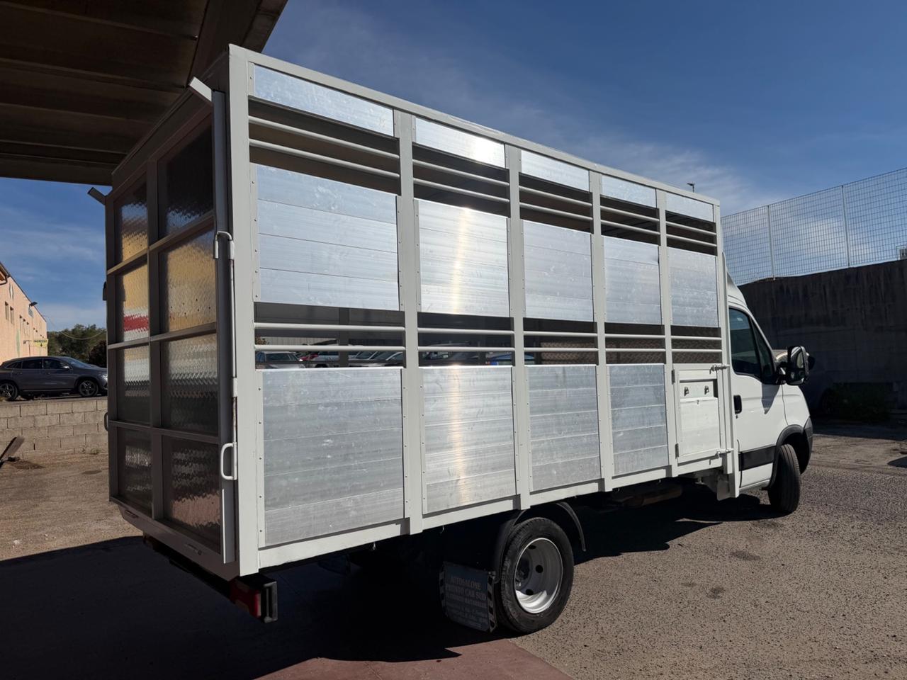 Iveco Daily 35C15 3.0 150cv trasporto animali vivi patente B