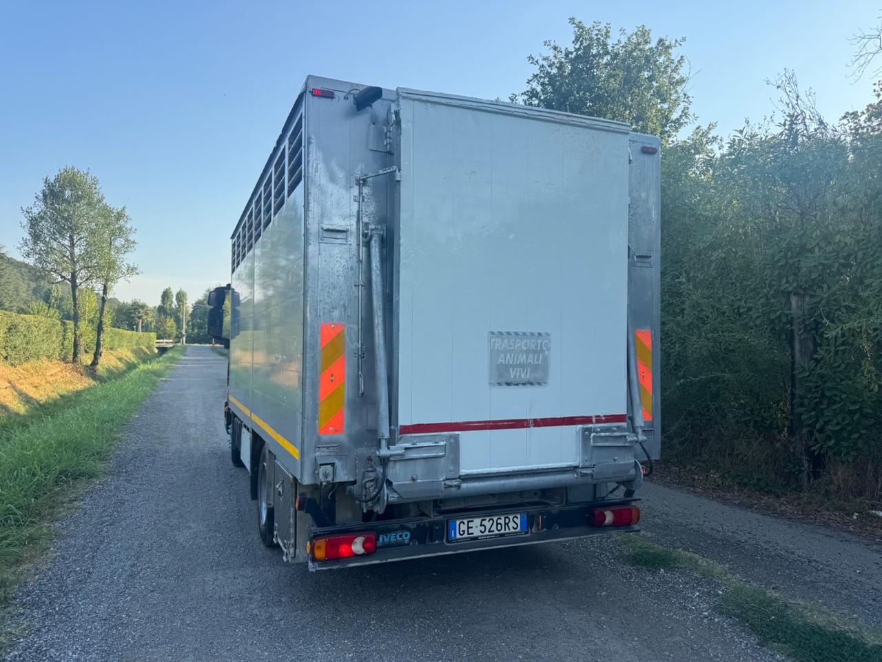 Iveco Eurocargo trasportato animali vivi