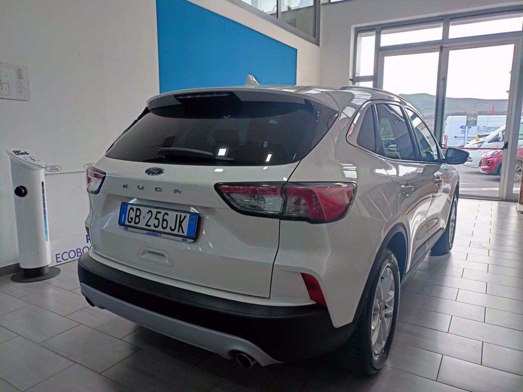 FORD Kuga 1.5 EcoBlue 120 CV 2WD Titanium Business del 2020