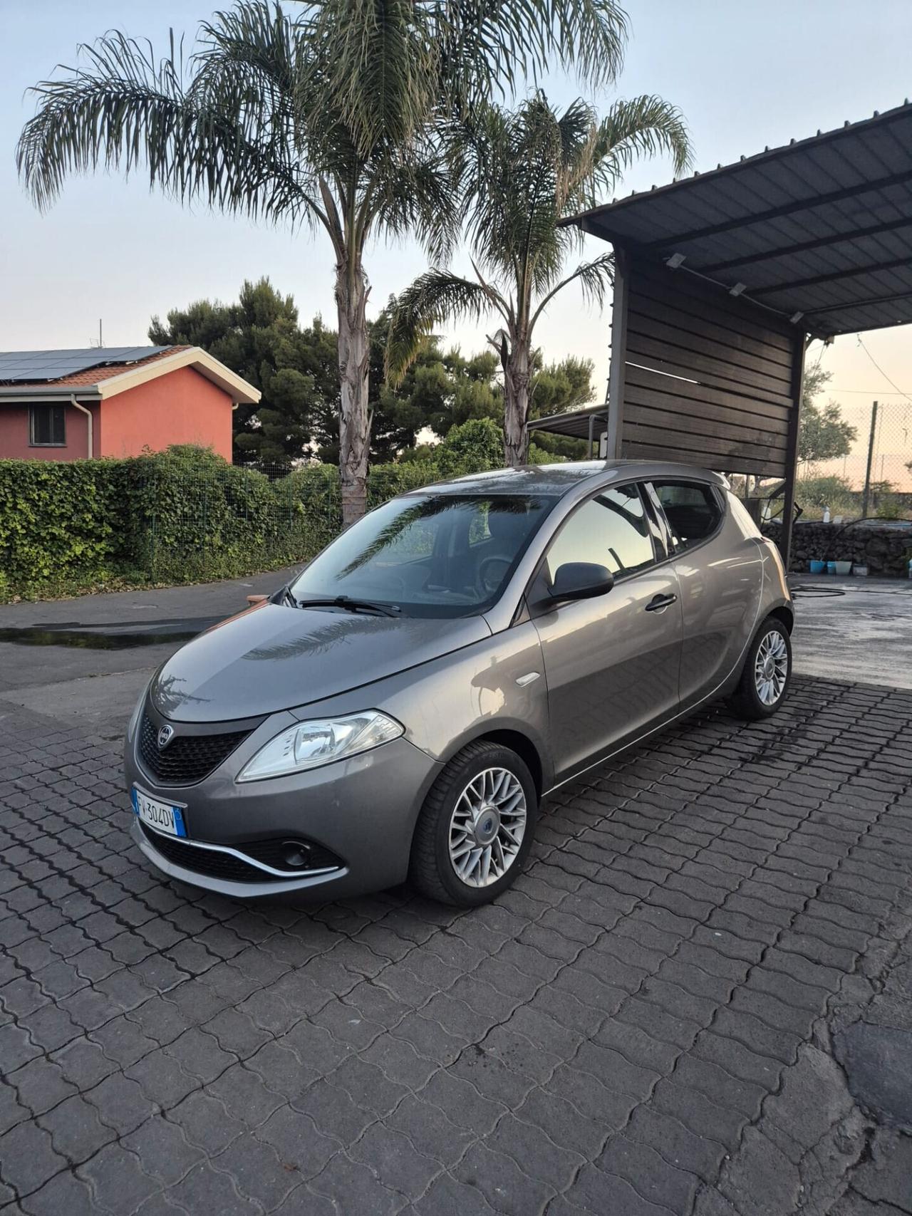 Lancia Ypsilon 1.2 69 CV 5 porte S&S Platinum