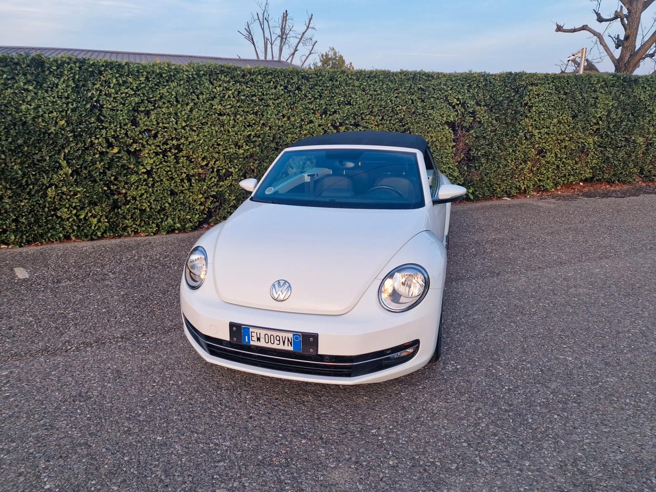 Volkswagen Maggiolino Cabrio 1.4 TSI 105cv
