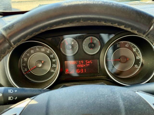 FIAT Punto 1.4 8V 5 porte Natural Power Street