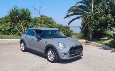 Mini 1.5 One D
