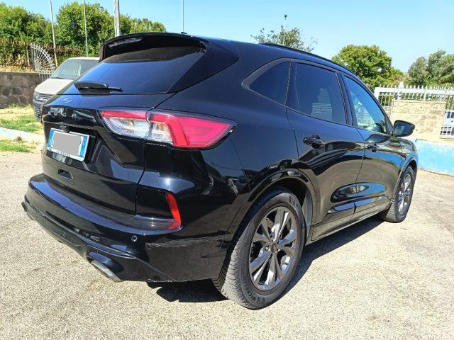FORD Kuga 1.5 EcoBlue 120 CV 2WD ST-Line