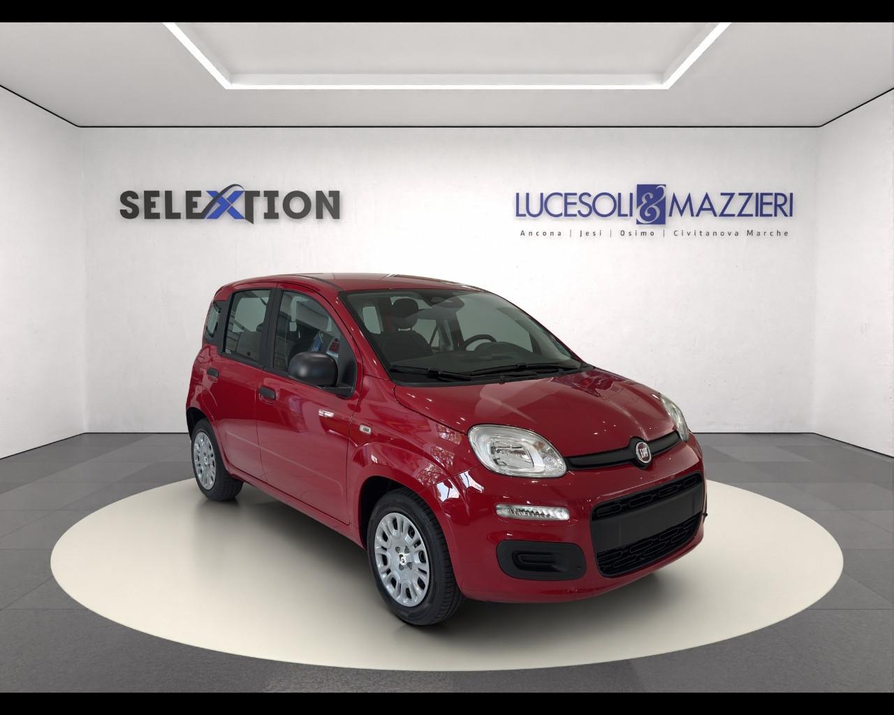 FIAT Panda 3ª serie - Panda 1.0 FireFly S&S Hybrid