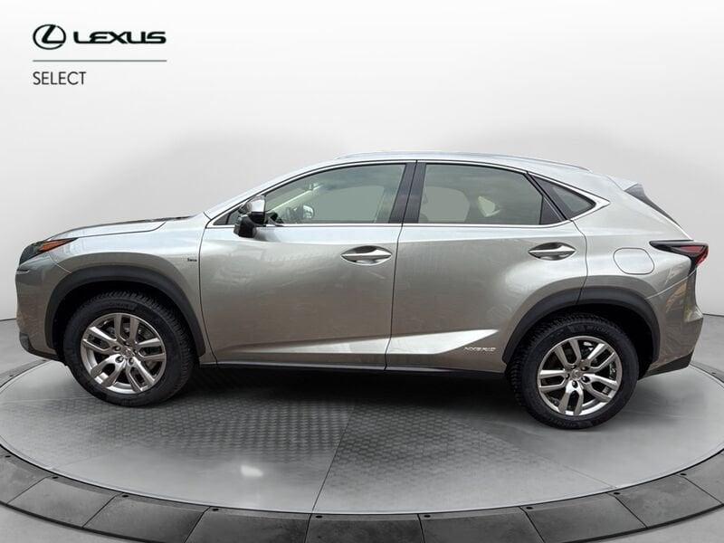 Lexus NX NX 300 Hybrid 4WD Executive