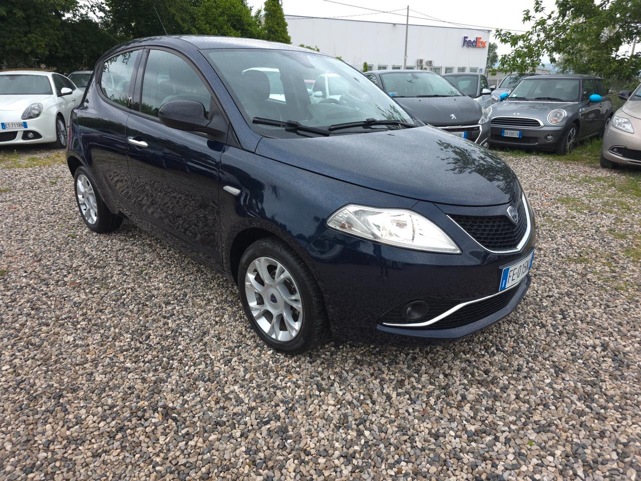 Lancia Ypsilon 1.3 MJT 16V 95 CV 5 porte S&S Platinum