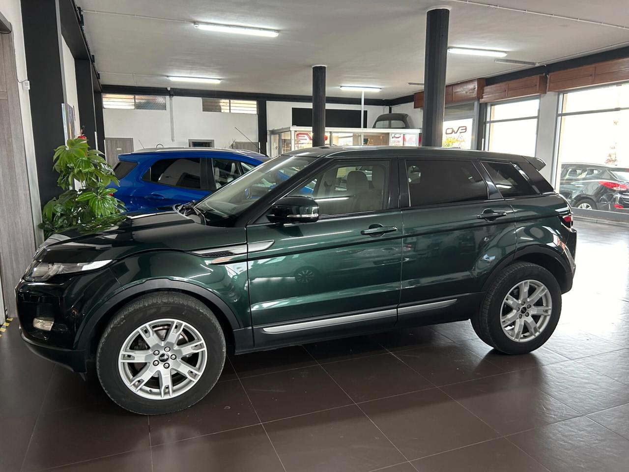 Land Rover Range Rover Evoque Range Rover Evoque 2.2 TD4 5p. Prestige