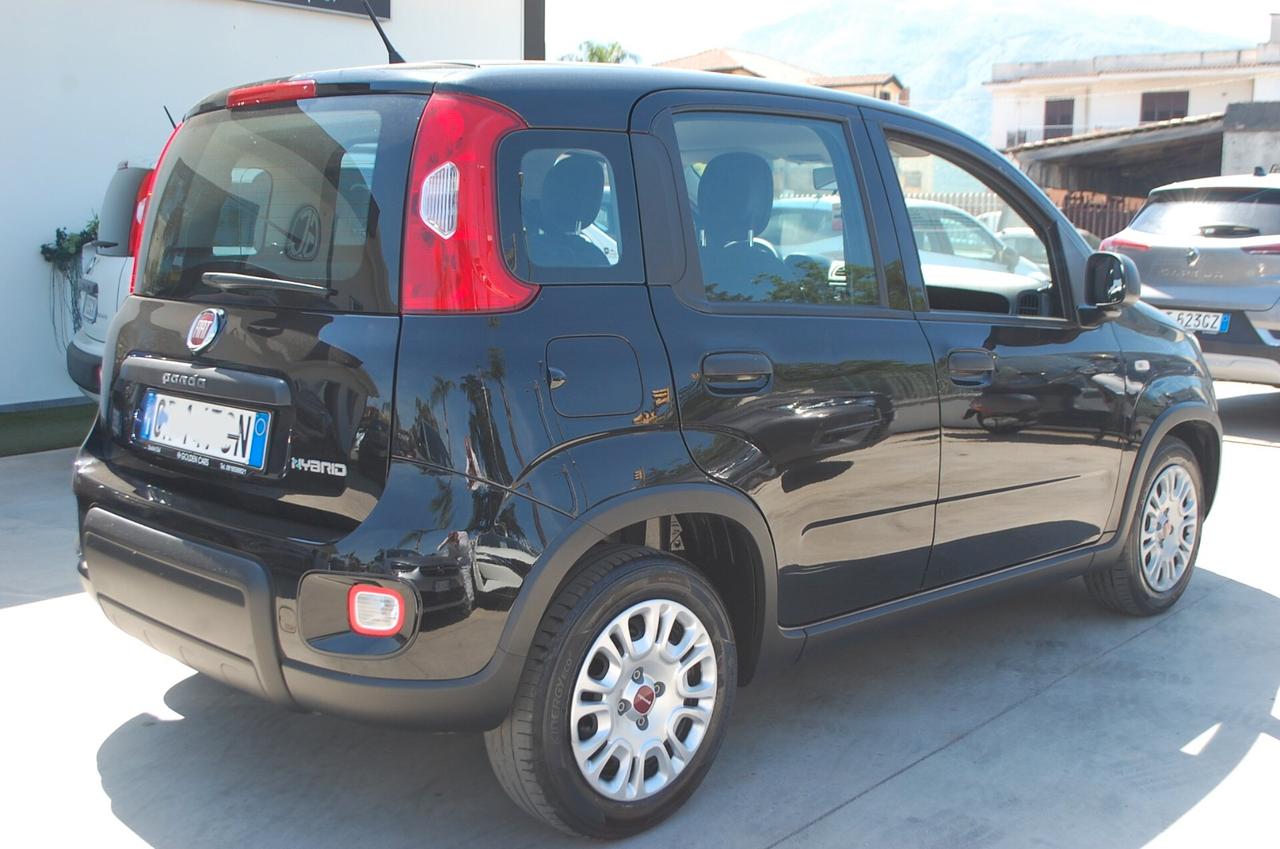 Fiat Panda 1.0 firefly hybrid 70CV S&S Uff Italy Clima City