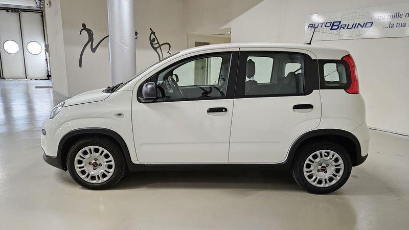 FIAT Panda 1.0 FireFly S&S Hybrid con Fidelity Free