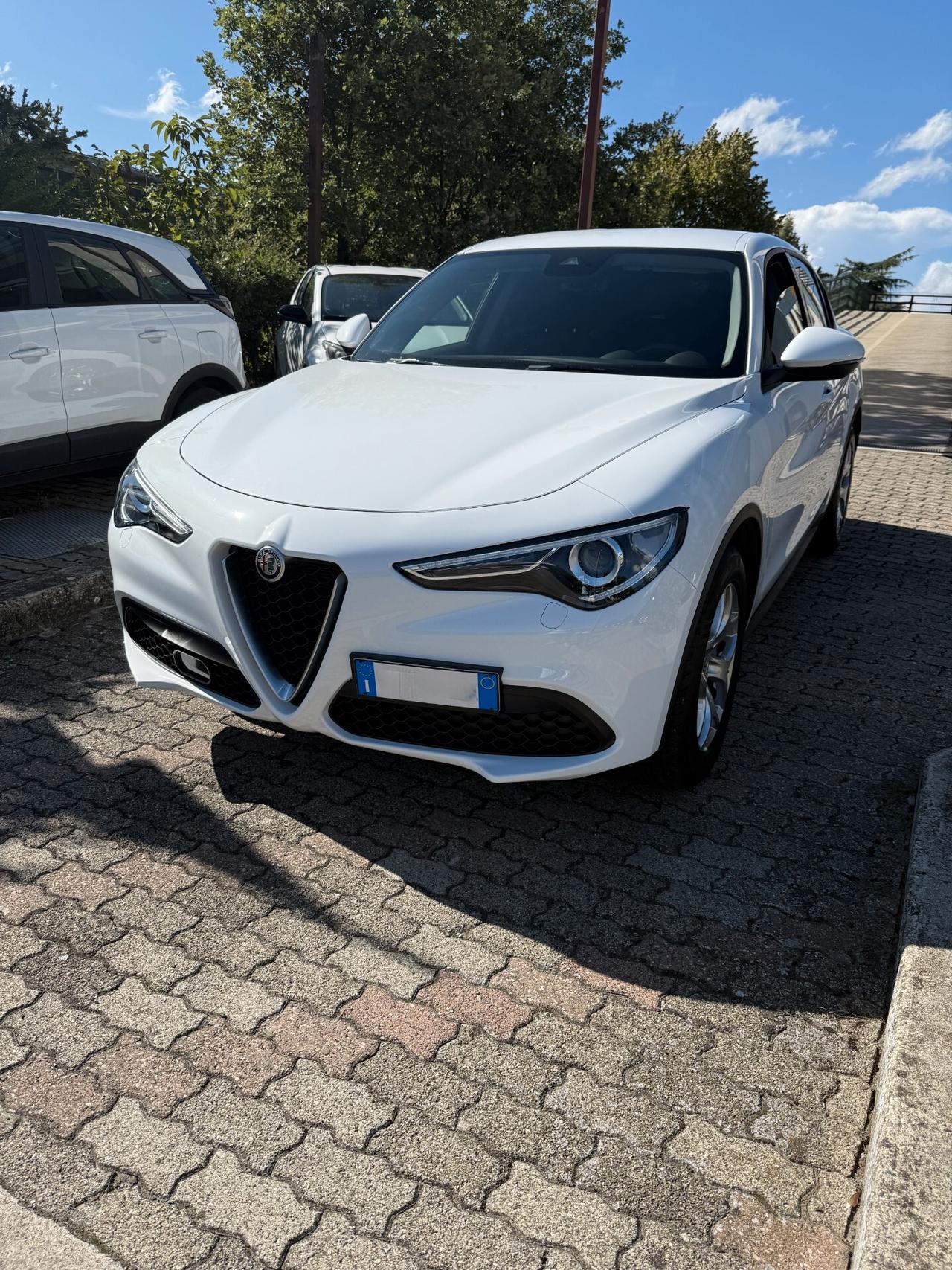 Alfa Romeo Stelvio 2.2 Turbodiesel 190 CV AT8 Q4 Business