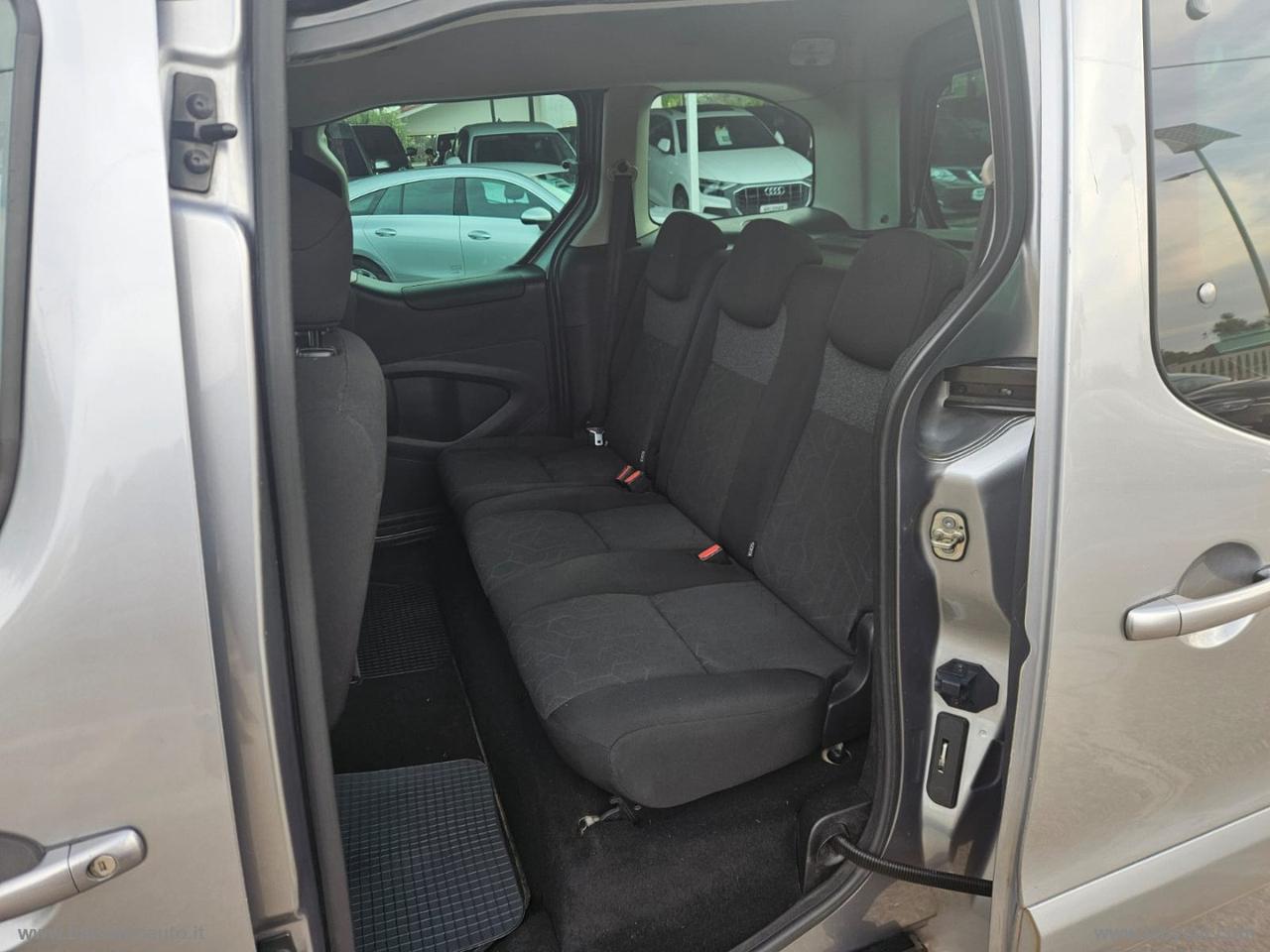 Partner Tepee BlueHDi 100 N1