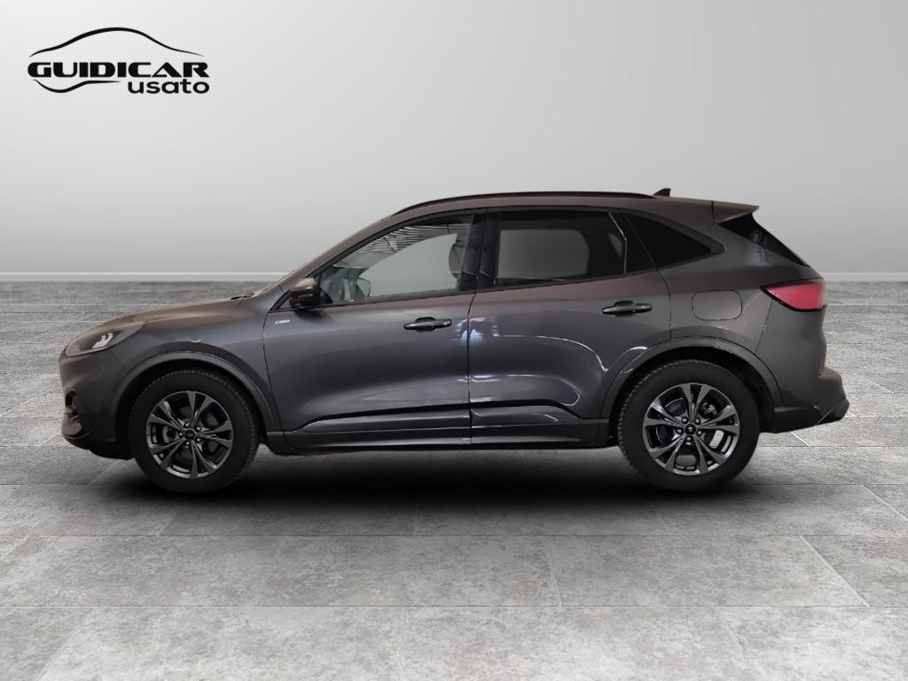 FORD Kuga III 2020 - Kuga 2.0 ecoblue ST-Line 2wd 120cv auto