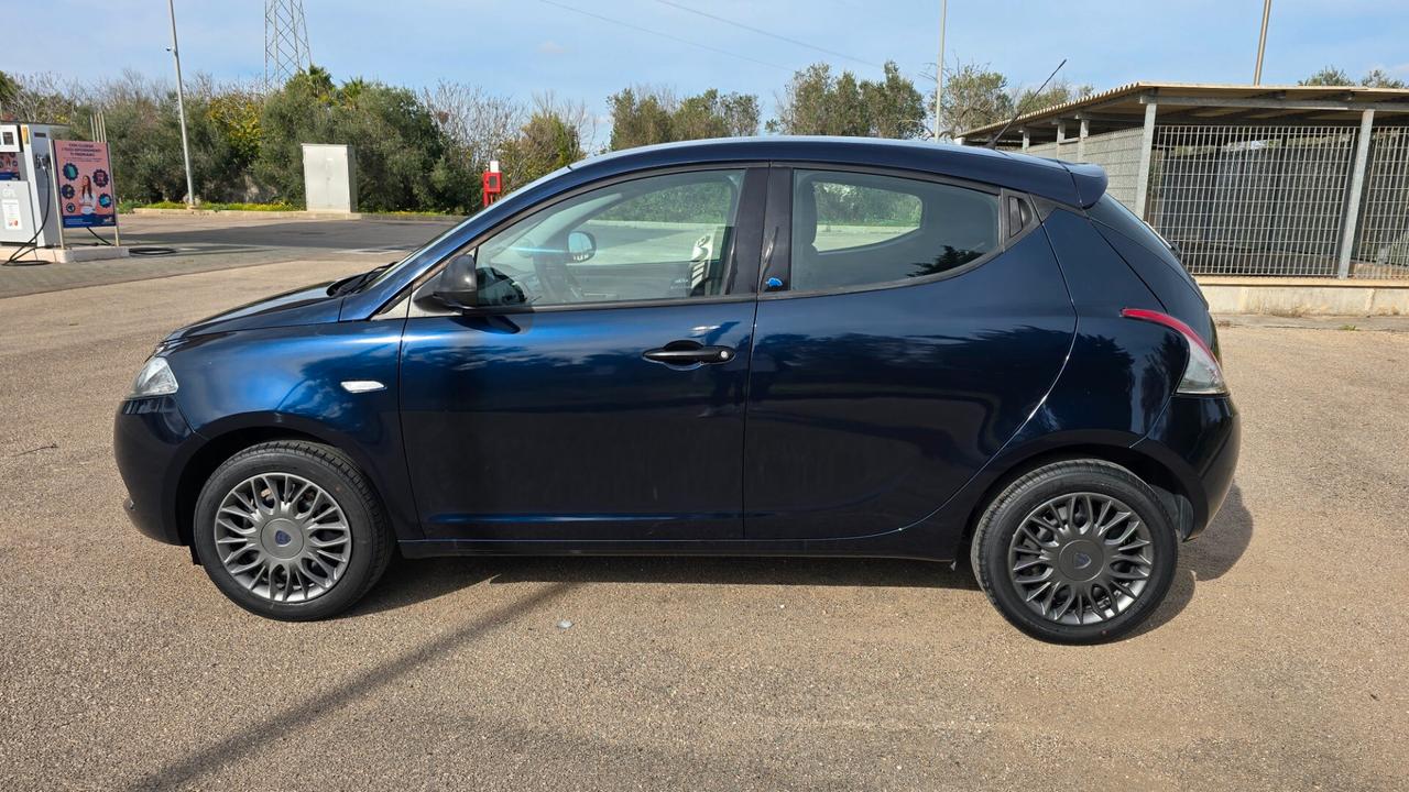 Lancia Ypsilon 1.2 69 CV 5 porte S&S Platinum