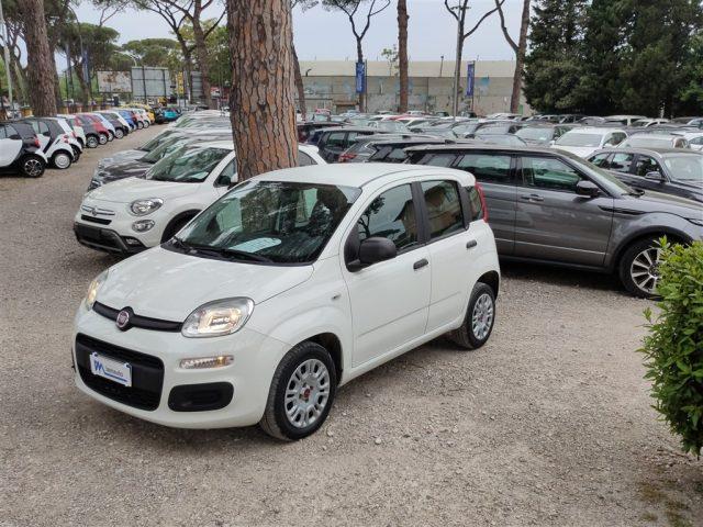 FIAT Panda 1.2 Easy CLIMATIZZATORE OK NEOPATENTATI