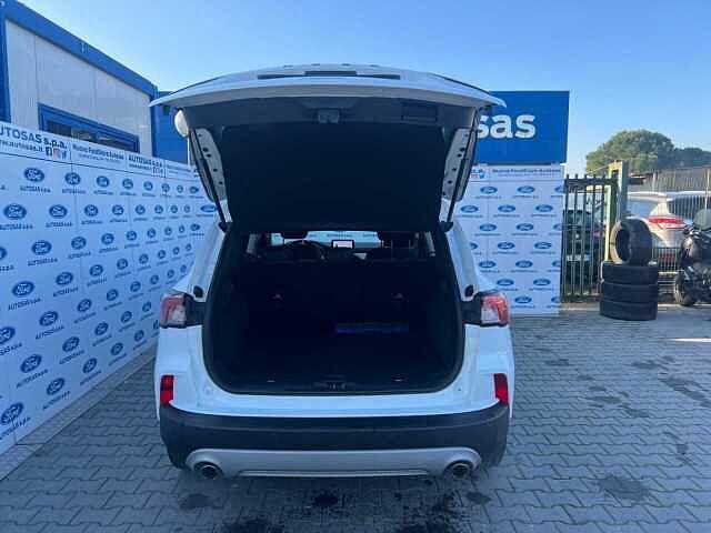 Ford Kuga 1.5 EcoBlue 120 CV 2WD Titanium Business