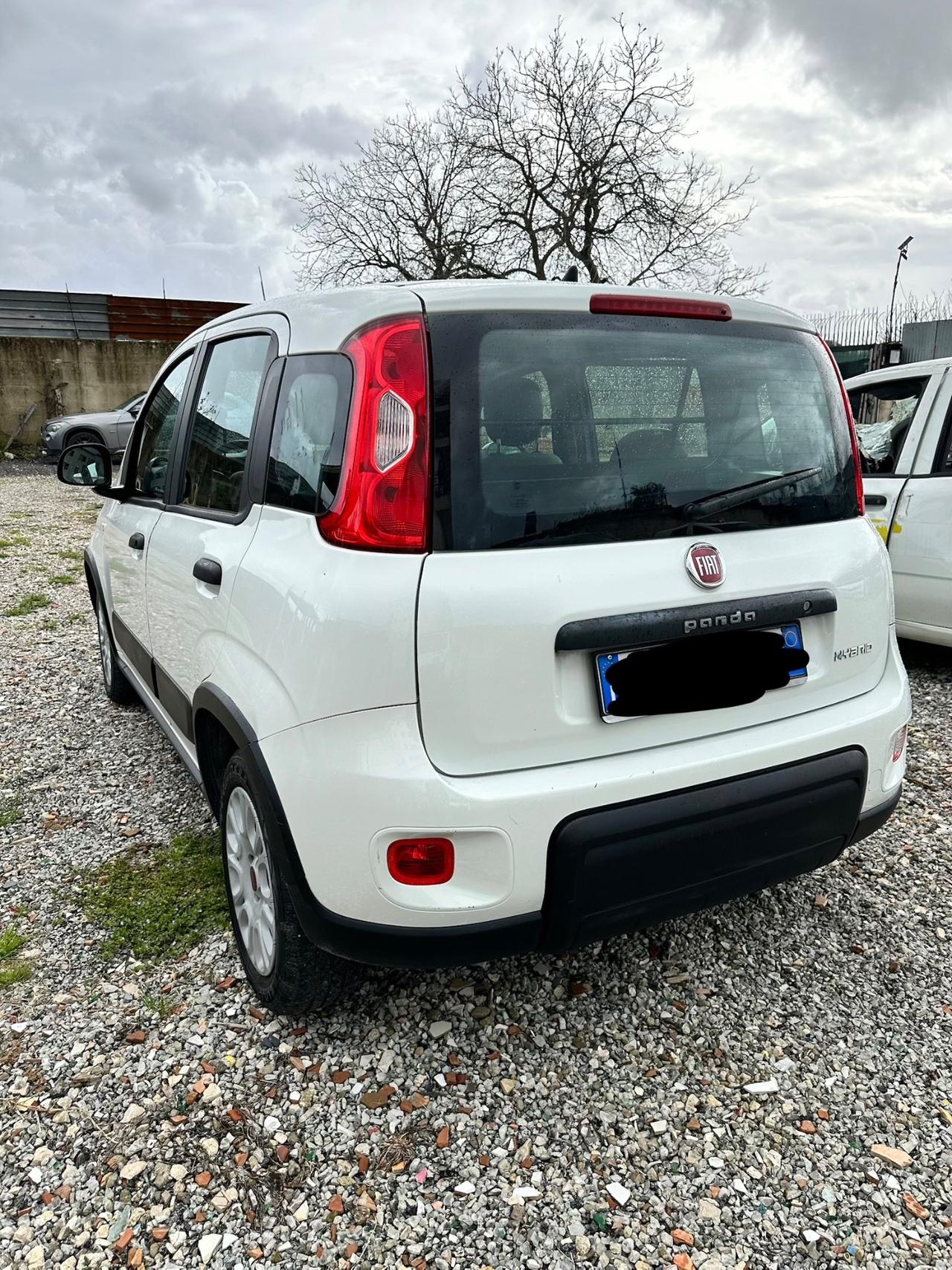 Fiat Panda 1.0 GSE S&S Hybrid Street Van 4 posti