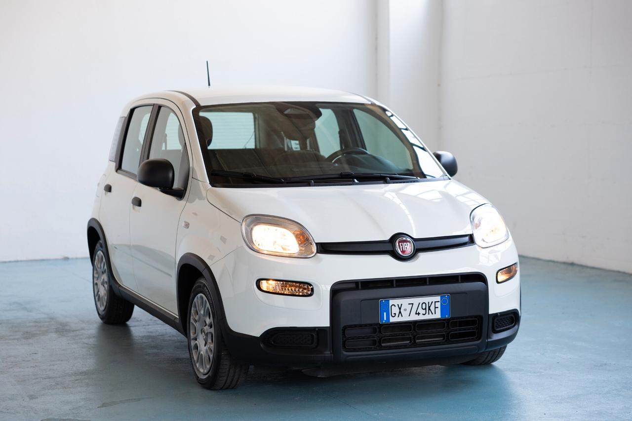 Fiat Panda 1.0 FireFly S&S Hybrid Pandina IVA ESPOSTA