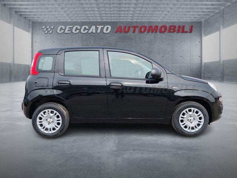 FIAT Panda Panda 1.0 firefly hybrid s&s 70cv