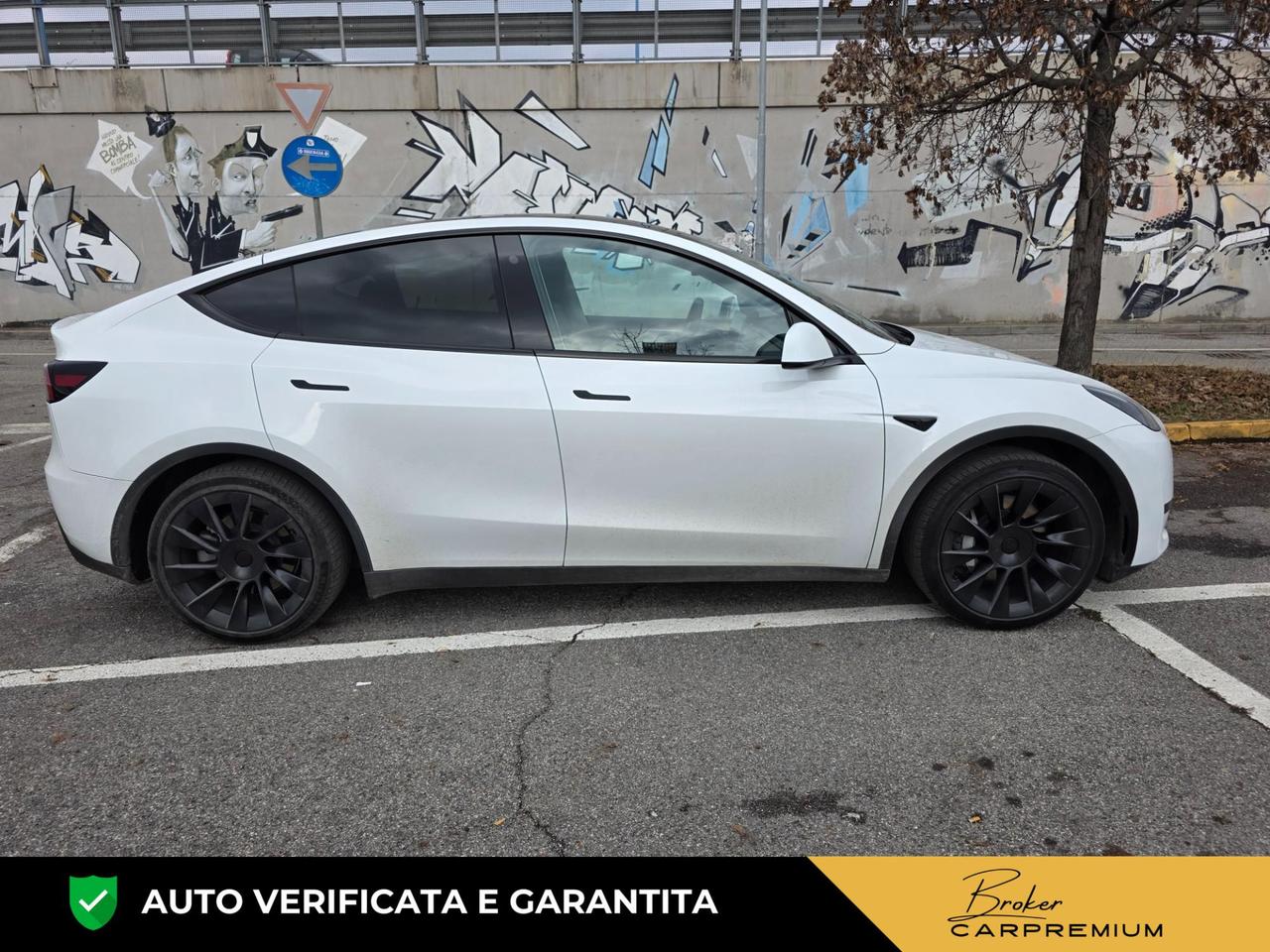 Tesla Model Y Single Motor rwd