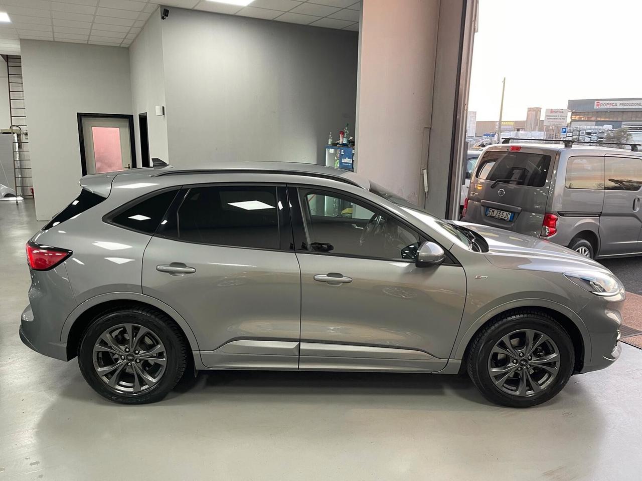 Ford Kuga 1.5 EcoBlue 120 CV aut. 2WD ST-Line X