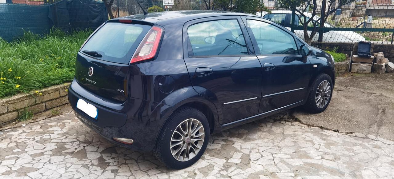 Fiat Punto Evo 1.3 Mjt 75 CV DPF 5 porte S&S Dynamic
