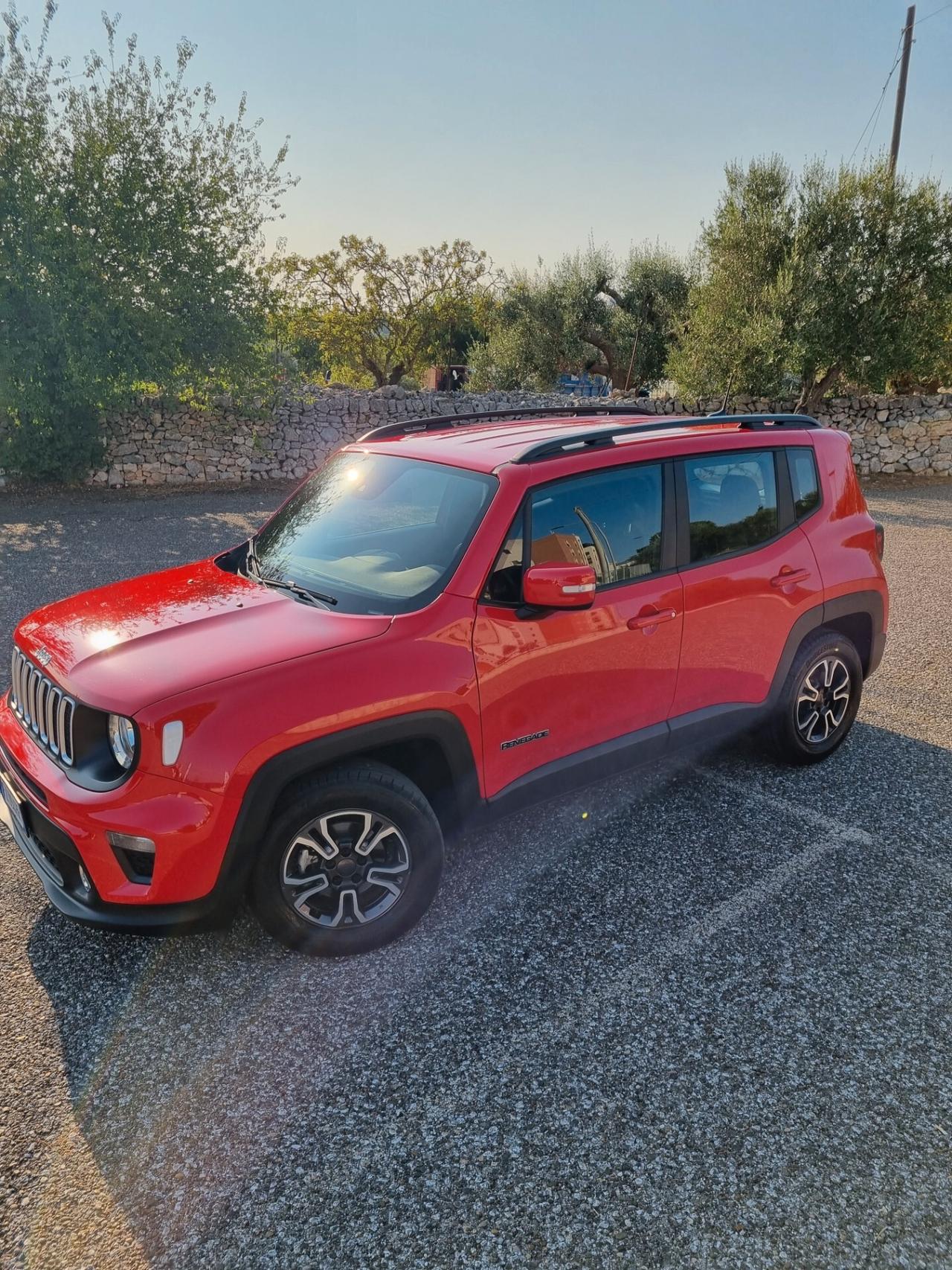 Jeep Renegade 1.6 Mjt 120 CV Longitude