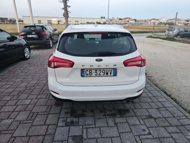 FORD Focus 1.5 EcoBlue 120 CV automatico SW Active Co-Pilot