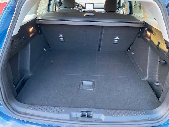Ford Focus 1.5 EcoBlue 120 CV SW Business
