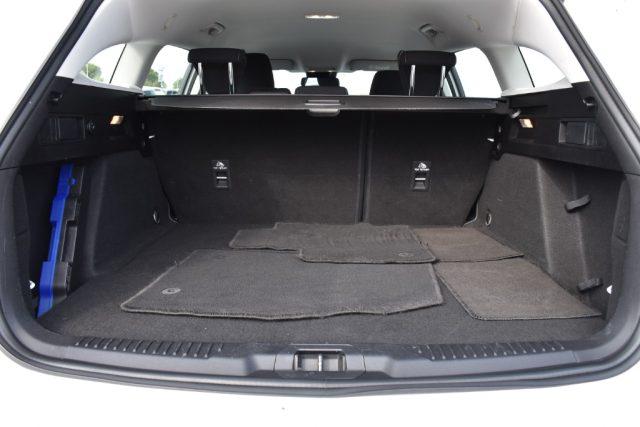 FORD Focus 1.5 EcoBlue 120 CV automatico SW