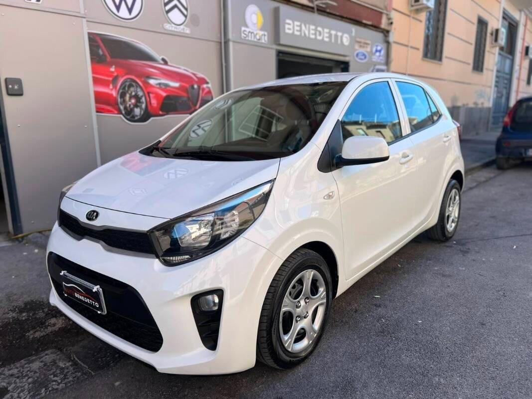 Kia Picanto 1.0 12V 5 porte Cool 2019