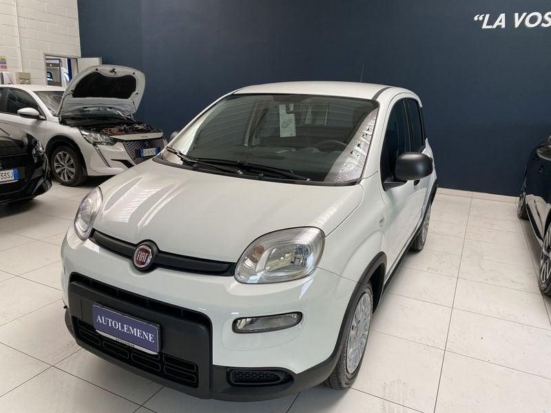 FIAT Panda Panda 1.0 FireFly S&S Hybrid