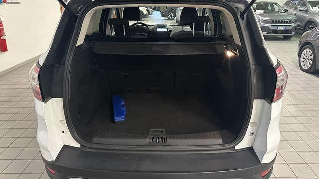 Ford Kuga 1.5 tdci Plus 120cv