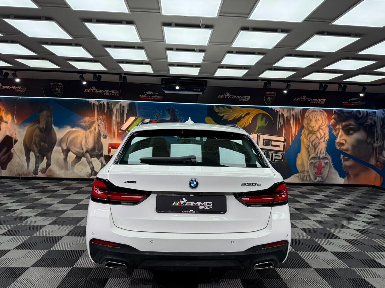 Bmw 530e xDrive Touring Business (648)