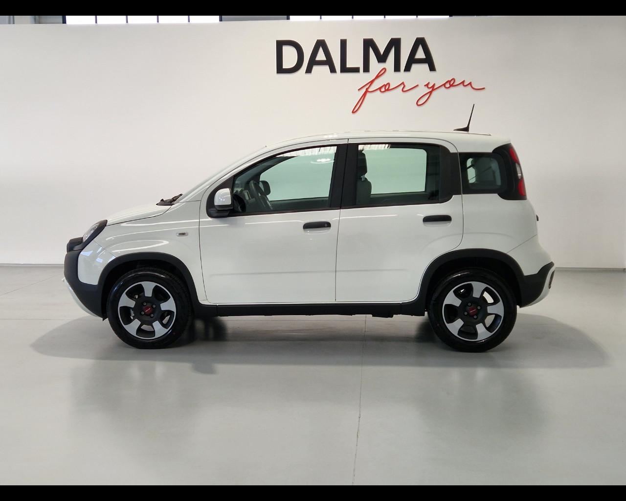 FIAT Panda III 2021 Cross - Panda 1.0 firefly hybrid Cross s&s 70cv 5p.ti