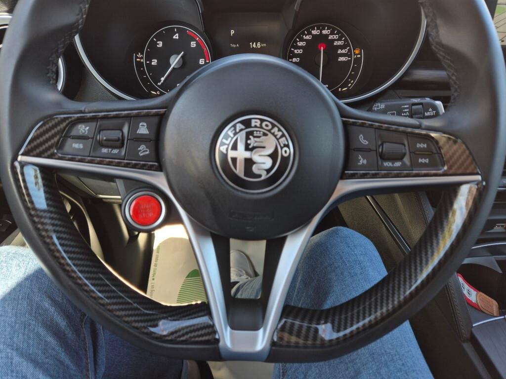 Alfa Stelvio 2.2 D TETTO APRIBILE CERCHI 20