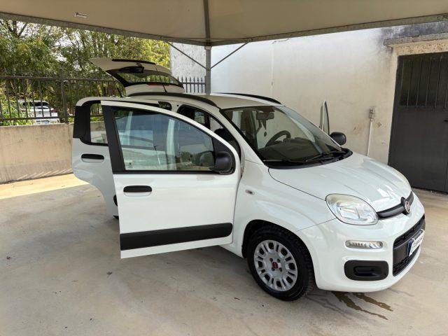 FIAT Panda 1.2 Easy EURO 5 BENZ OK NEOPATENTATI PRONTA CONS.