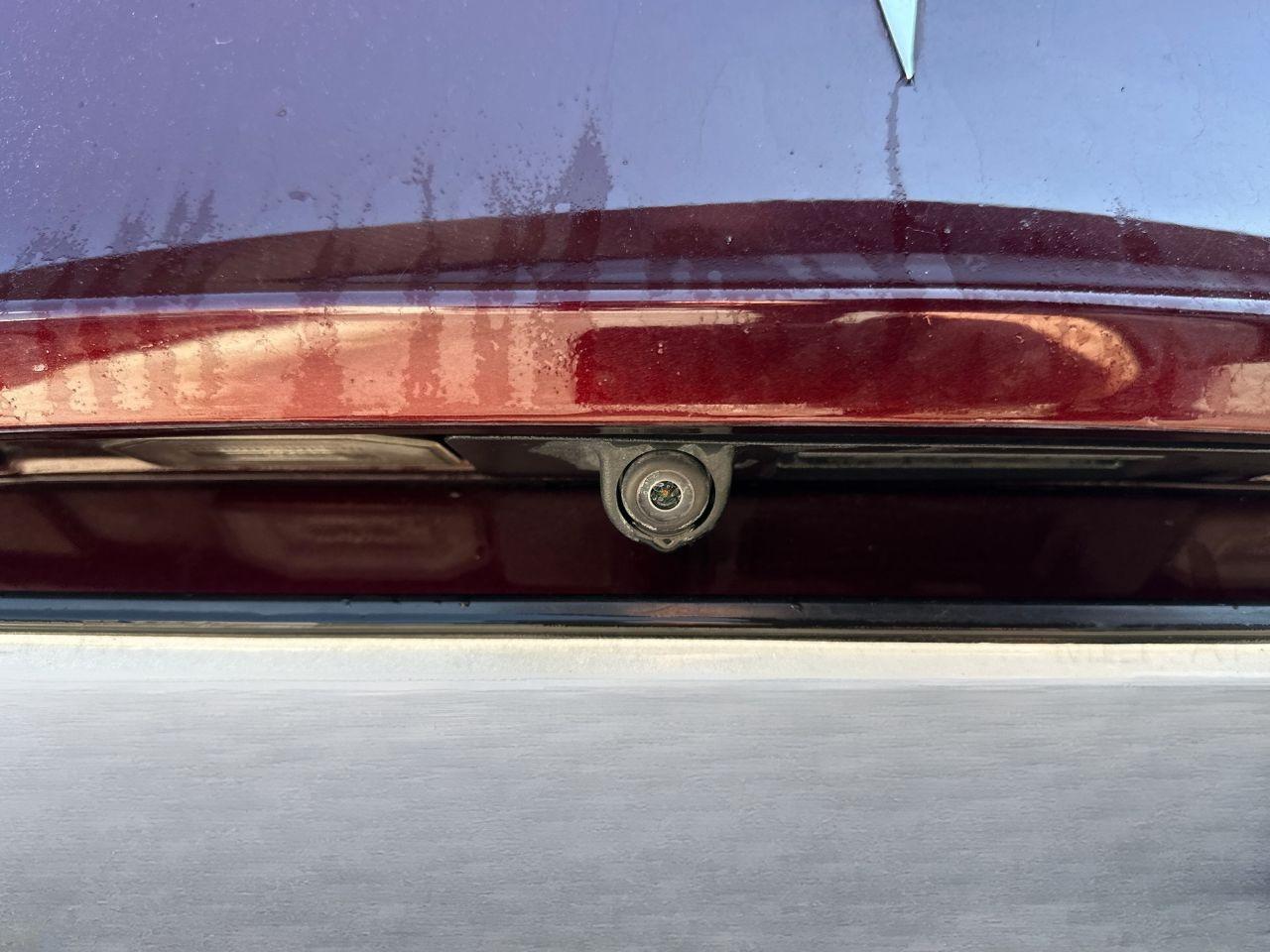 TESLA Model Y 2021 - Model Y Performance Dual Motor awd