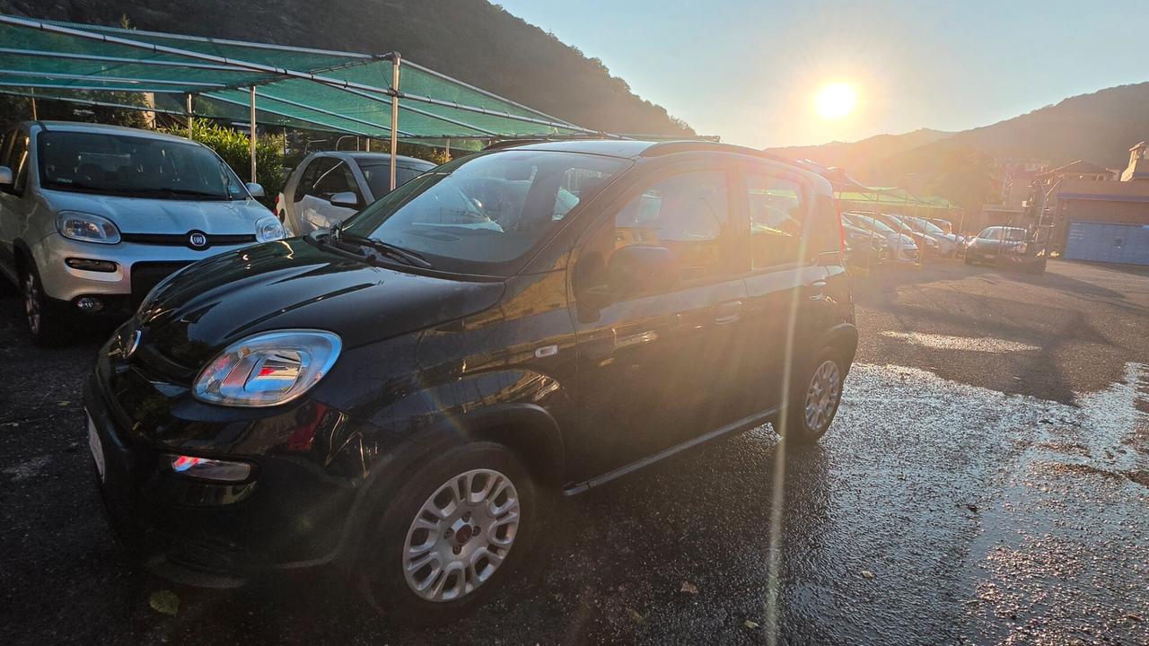Fiat Panda 1.0 FireFly S&S Hybrid