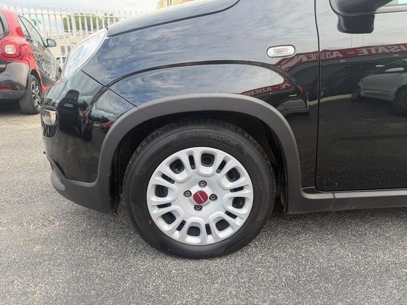 FIAT Panda Panda 1.0 firefly hybrid 70cv 5 POSTI, SENSORI PARCHEGGIO!