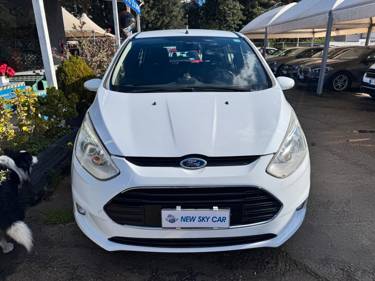 Ford B-Max 1.5 TDCi 75 CV Business