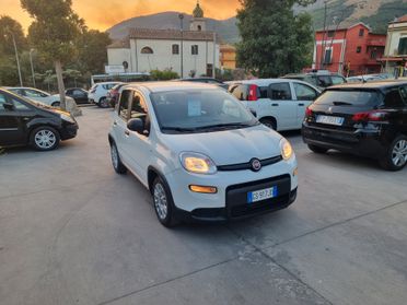 Fiat Panda 1.0 FireFly S&S Hybrid City Life - 10/2023