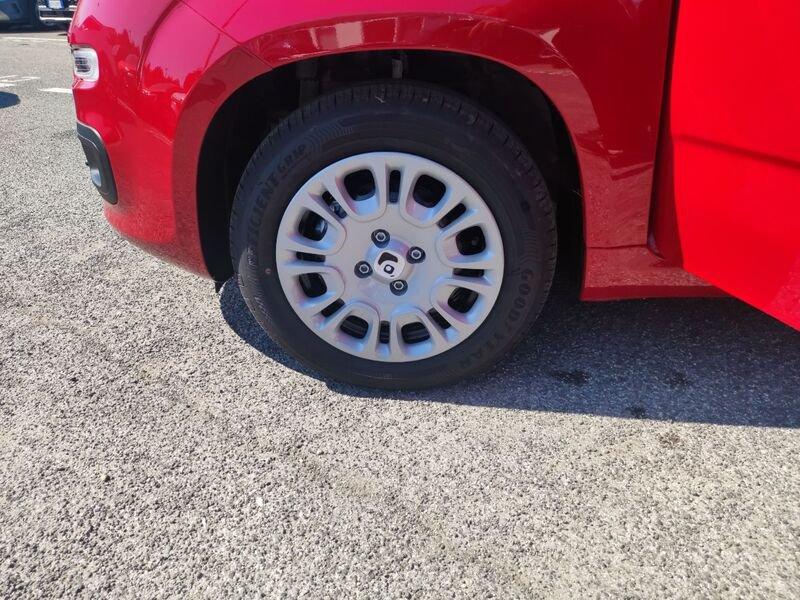 FIAT Panda New My25 1.0 70cv Hybrid Panda