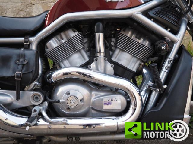 HARLEY-DAVIDSON 1130 V-ROD - VRSCR Street Rod