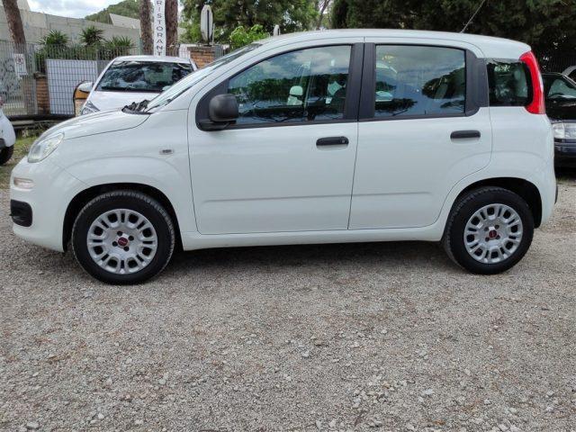 FIAT Panda 1.2 Easy CLIMATIZZATORE OK NEOPATENTATI ..